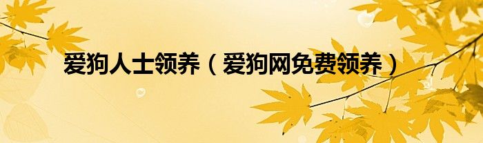 爱狗人士领养(爱狗网免费领养)