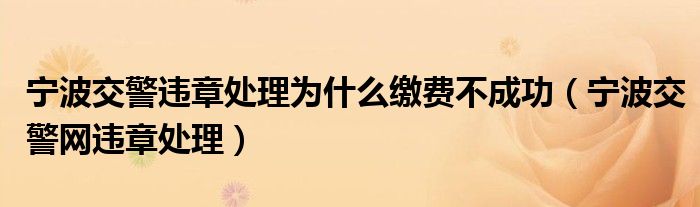 宁波交警违章处理为什么缴费不成功(宁波交警网违章处理)