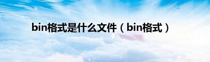 bin格式是什么文件(bin格式)