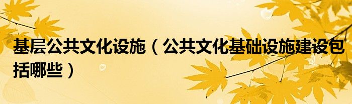 基层公共文化设施(公共文化基础设施建设包括哪些)