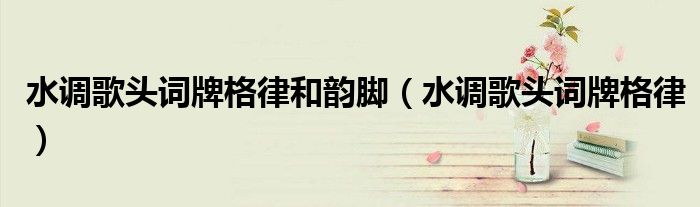 水调歌头词牌格律和韵脚(水调歌头词牌格律)