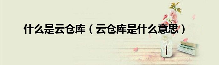 什么是云仓库(云仓库是什么意思)