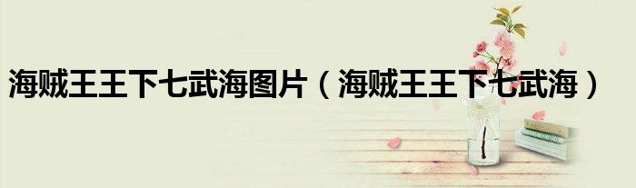海贼王王下七武海图片(海贼王王下七武海)