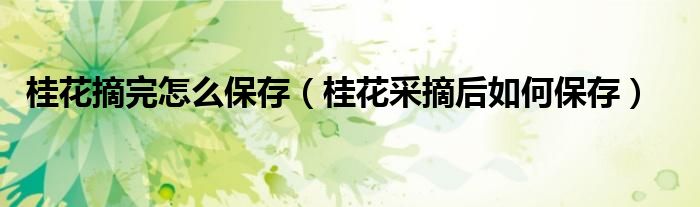 桂花摘完怎么保存(桂花采摘后如何保存)
