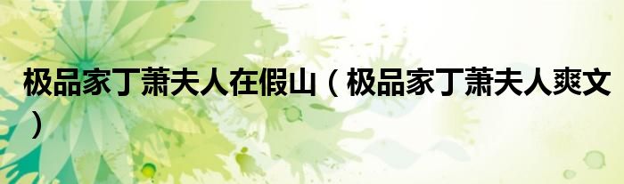 极品家丁萧夫人在假山(极品家丁萧夫人爽文)