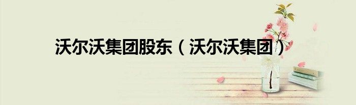 沃尔沃集团股东(沃尔沃集团)
