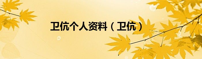 卫伉个人资料（卫伉）