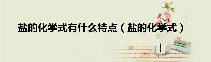 盐的化学式有什么特点(盐的化学式)