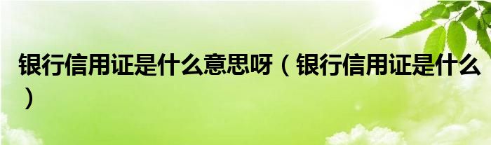 银行信用证是什么意思呀(银行信用证是什么)