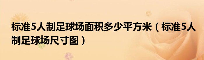 标准5人制足球场面积多少平方米(标准5人制足球场尺寸图)