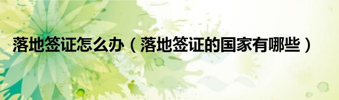 落地签证怎么办(落地签证的国家有哪些)