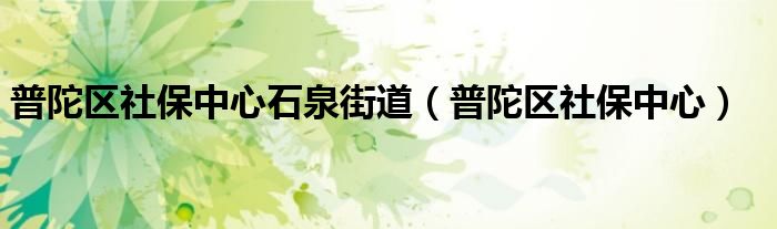 普陀区社保中心石泉街道(普陀区社保中心)