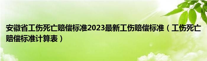 安徽省工伤死亡赔偿标准2023最新工伤赔偿标准(工伤死亡赔偿标准计算表)