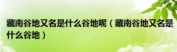 藏南谷地又名是什么谷地呢(藏南谷地又名是什么谷地)