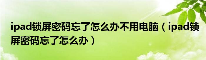 ipad锁屏密码忘了怎么办不用电脑(ipad锁屏密码忘了怎么办)