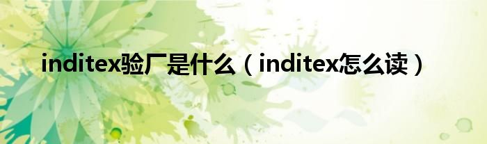 inditex验厂是什么(inditex怎么读)
