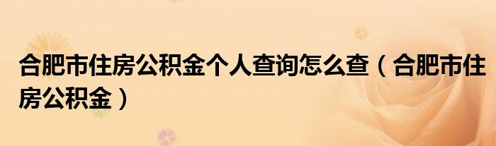合肥市住房公积金个人查询怎么查(合肥市住房公积金)