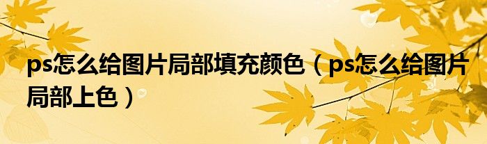 ps怎么给图片局部填充颜色(ps怎么给图片局部上色)