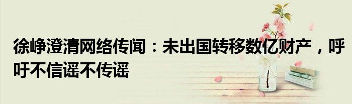 徐峥澄清网络传闻:未出国转移数亿财产,呼吁不信谣不传谣