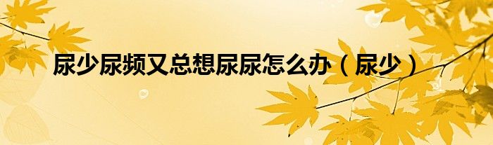 尿少尿频又总想尿尿怎么办(尿少)