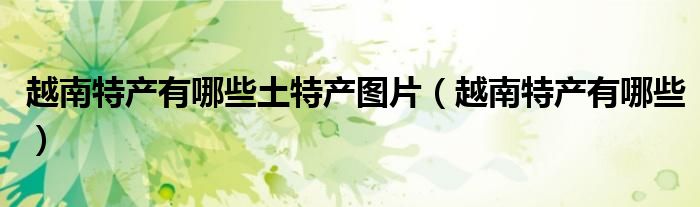 越南特产有哪些土特产图片(越南特产有哪些)