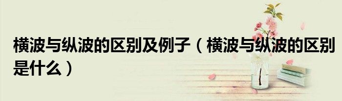 横波与纵波的区别及例子(横波与纵波的区别是什么)