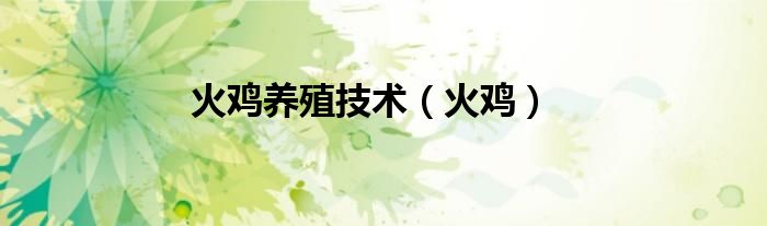 火鸡养殖技术(火鸡)