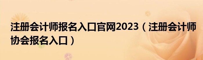 注册会计师报名入口官网2023(注册会计师协会报名入口)