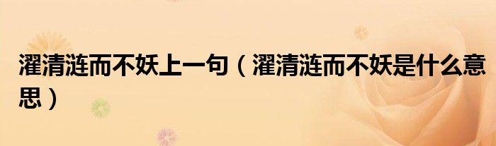 濯清涟而不妖上一句(濯清涟而不妖是什么意思)