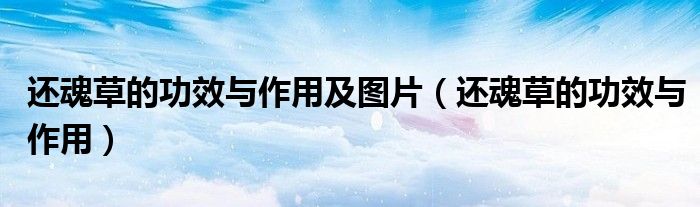 还魂草的功效与作用及图片(还魂草的功效与作用)