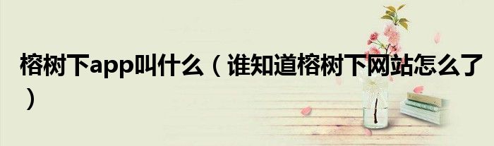 榕树下app叫什么(谁知道榕树下网站怎么了)