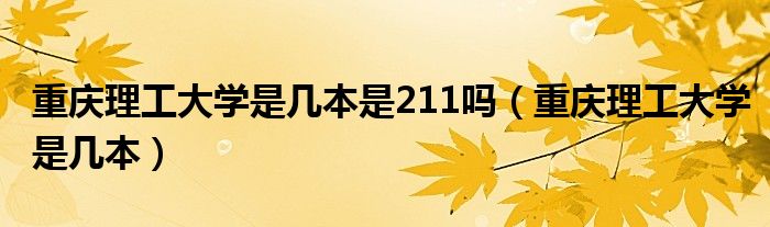 重庆理工大学是几本是211吗(重庆理工大学是几本)