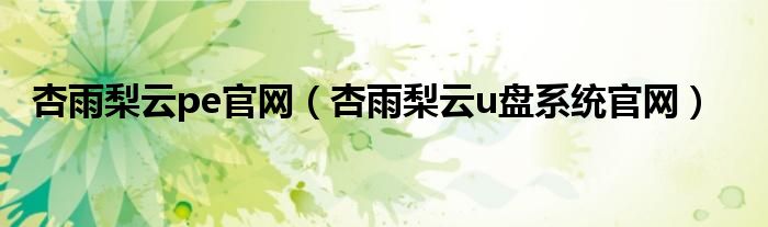 杏雨梨云pe官网(杏雨梨云u盘系统官网)