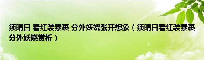 须晴日 看红装素裹 分外妖娆张开想象(须晴日看红装素裹分外妖娆赏析)