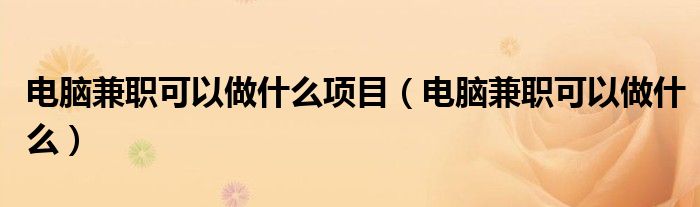 电脑兼职可以做什么项目(电脑兼职可以做什么)