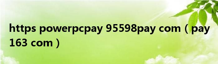 https powerpcpay 95598pay com（pay 163 com）