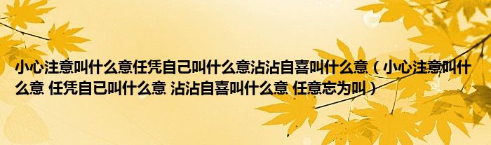 小心注意叫什么意任凭自己叫什么意沾沾自喜叫什么意(小心注意叫什么意 任凭自已叫什么意 沾沾自喜叫什么意 任意忘为叫)