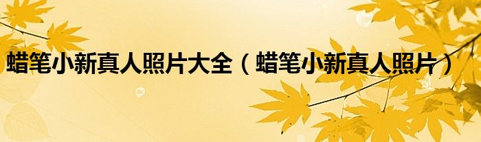蜡笔小新真人照片大全(蜡笔小新真人照片)