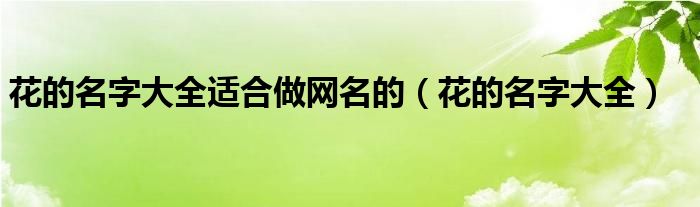 花的名字大全适合做网名的（花的名字大全）