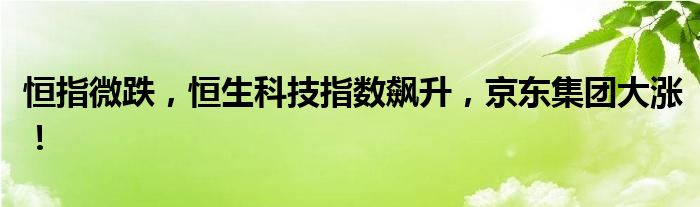 恒指微跌,恒生科技指数飙升,京东集团大涨!