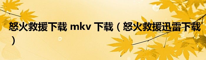 怒火救援下载 mkv 下载(怒火救援迅雷下载)