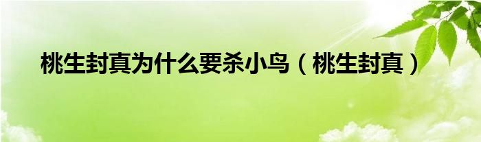 桃生封真为什么要杀小鸟（桃生封真）