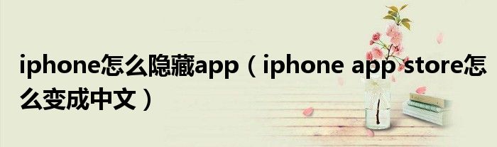 iphone怎么隐藏app（iphone app store怎么变成中文）