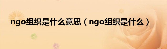 ngo组织是什么意思（ngo组织是什么）