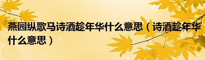 燕园纵歌马诗酒趁年华什么意思（诗酒趁年华什么意思）