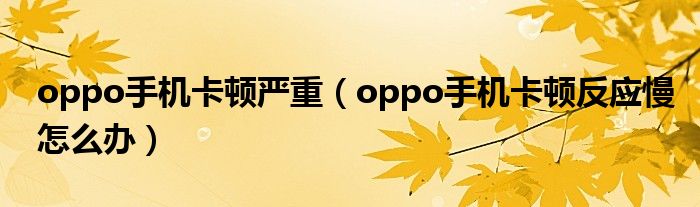 oppo手机卡顿严重(oppo手机卡顿反应慢怎么办)