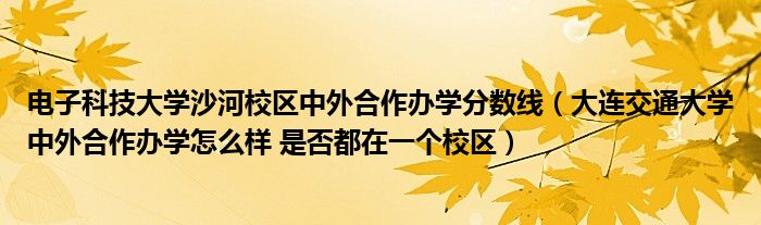 电子科技大学沙河校区中外合作办学分数线（大连交通大学中外合作办学怎么样 是否都在一个校区）