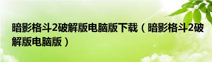 暗影格斗2破解版电脑版下载(暗影格斗2破解版电脑版)
