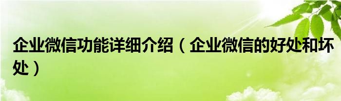 企业微信功能详细介绍（企业微信的好处和坏处）