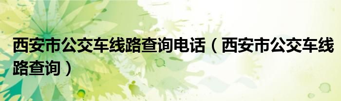 西安市公交车线路查询电话(西安市公交车线路查询)